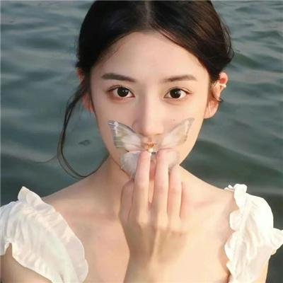 机动部队—同袍